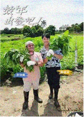 竞技真人秀厨房风暴海报